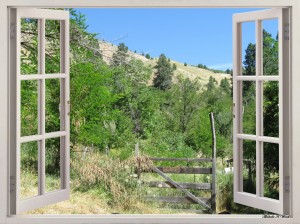 Lets Walk Through the Woods